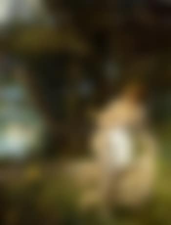 Coward (preview)