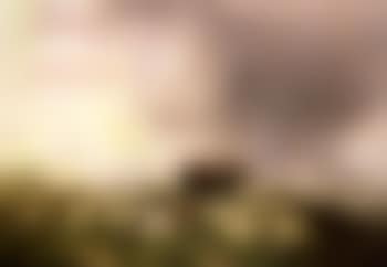 On the cliffs, East Sussex (preview)