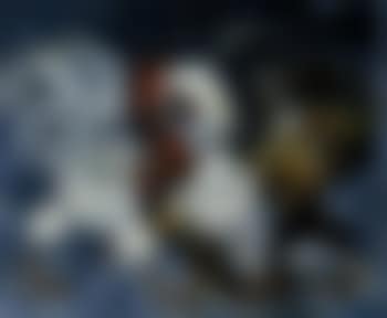 Cockfight (preview)