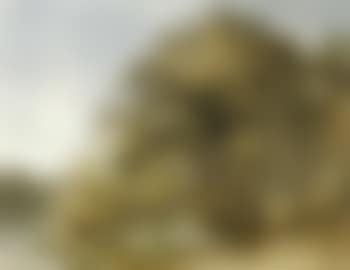 Peamore, Devon (preview)