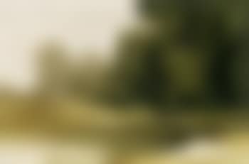 Trees by the waters edge (preview)