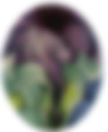 Petunias in oval no.2 (preview)