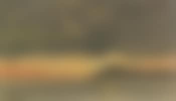 Sunset (preview)