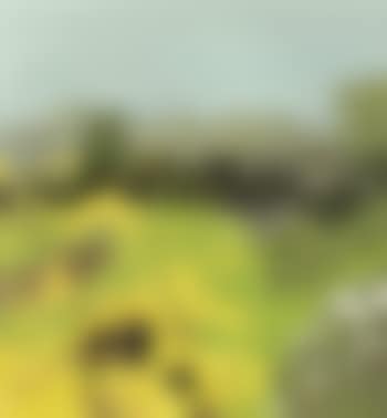 View over the baseball field (preview)