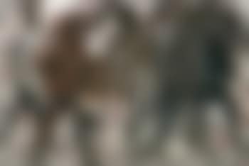 Guerreros, espanoles e indios (preview)