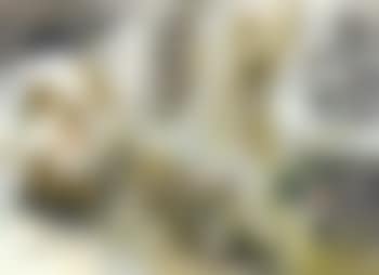 Que se despierte el lenador (preview)