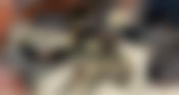 Sin titulo - Untitled (preview)