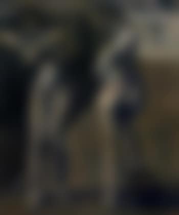 Dos mujeres desvistiendose - Two women undressing (preview)