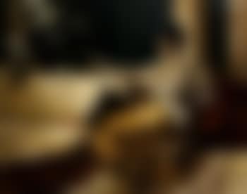 Mandolin player (preview)