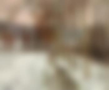 Paysage de neige (preview)