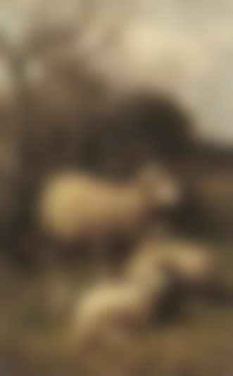 Sheep and hen in barnyard (preview)