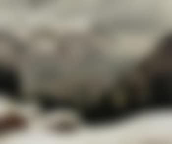 Alpine panorama (preview)
