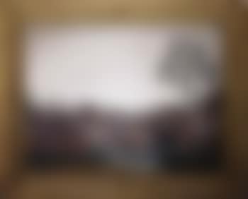 Ceremonial scenes (preview)