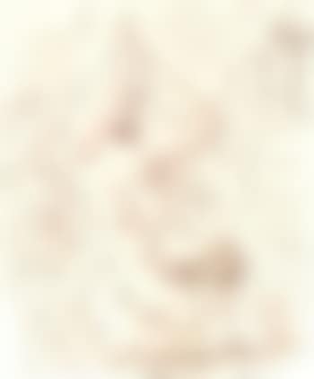 Nu renverse (preview)