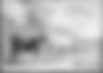 Cattle grazing (preview)