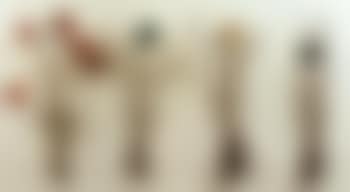 Rosiers 5 plus 1 plus 1 plus 1 (preview)