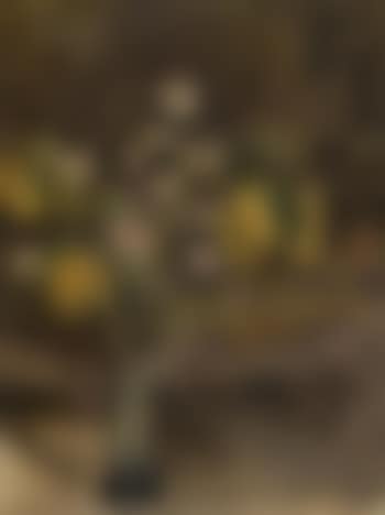 Nude behind flowers (preview)