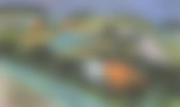 Emmental (preview)