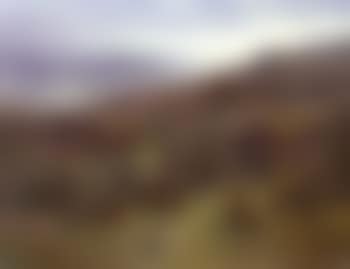 Red grouse, North Yorkshire Moors (preview)