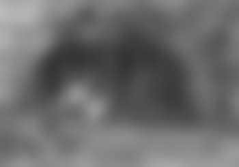 Tempting fate, view with a cat (preview)