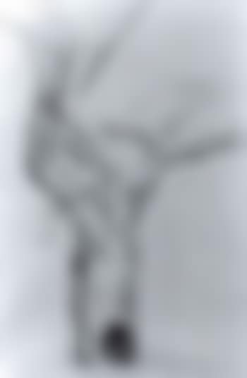 Tree study (preview)