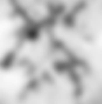 Composition au fond bleu (preview)
