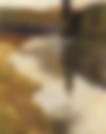 River landscape (preview)