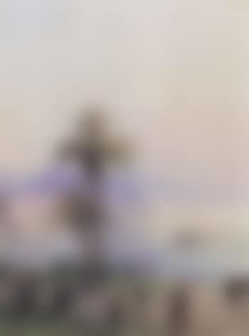 Nice (preview)