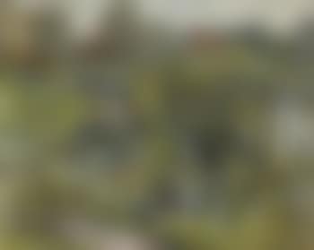 Rushes by the river (preview)