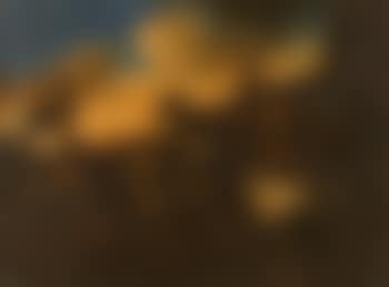 Shepherd (preview)