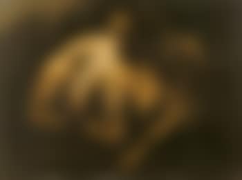 Goat in landscape (preview)