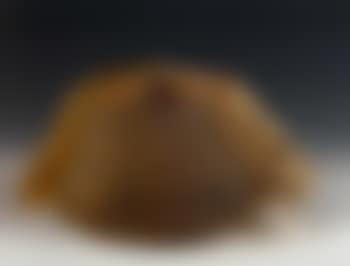 Turbin (preview)