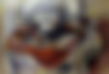 Still life (preview)