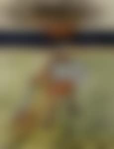 The Viking (preview)
