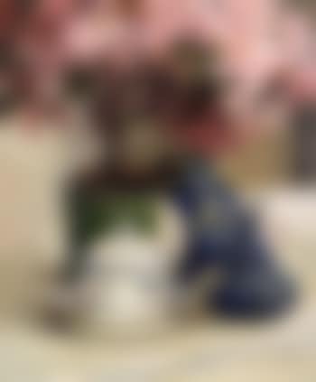 Still life of figurine and potted plant (preview)