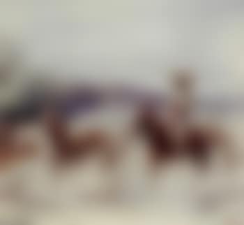 Cowboy watering his horses (preview)