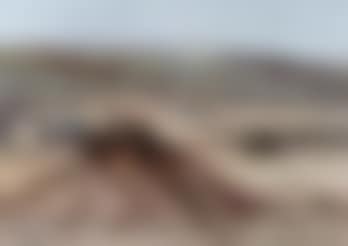 Desert landscape (preview)