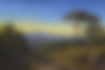 Rome seen from Monte Mario (preview)