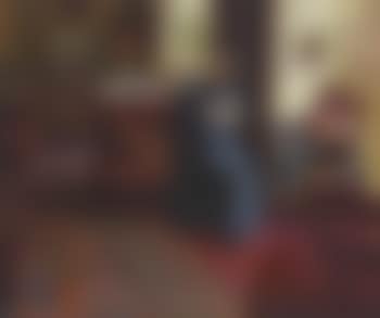 Portrait of Mrs K - Interior scene with Mrs E Knudtzon (preview)