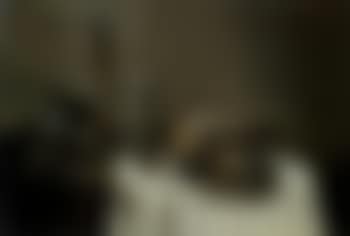 Still life (preview)