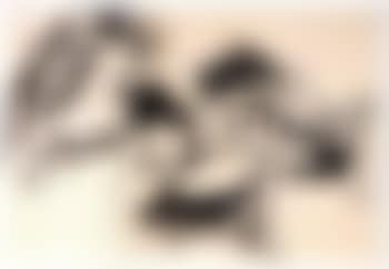 Couples (preview)