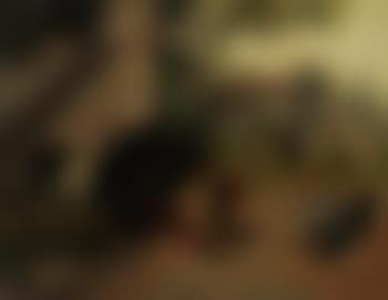 Poultry yard (preview)