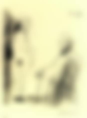 From: Dessins (preview)
