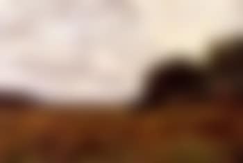 Landscape, Jylland (preview)