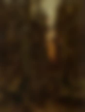 Forest landscape at sunset (preview)