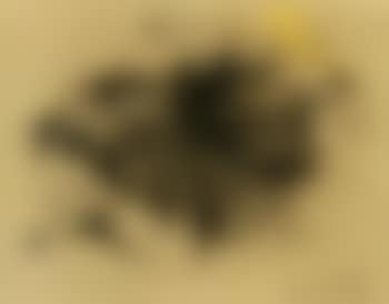 Woman with book resting (preview)