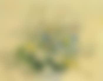 Still life of flowers (preview)