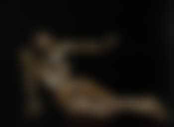 Le cabinet antropomorphe (preview)