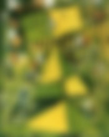 Green mask (preview)