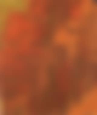 Composition (preview)